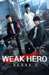 Download Weak Hero Class 1 (Season 1) Korean WEB Series